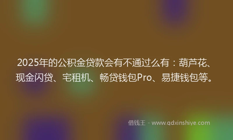 2025年的公积金贷款会有不通过么有：葫芦花、现金闪贷、宅租机、畅贷钱包Pro、易捷钱包等。