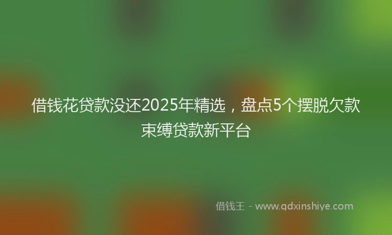 借钱花贷款没还2025年精选，盘点5个摆脱欠款束缚贷款新平台