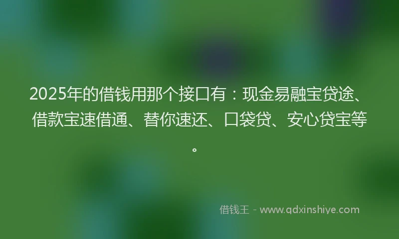 2025年的借钱用那个接口有：现金易融宝贷途、借款宝速借通、替你速还、口袋贷、安心贷宝等。