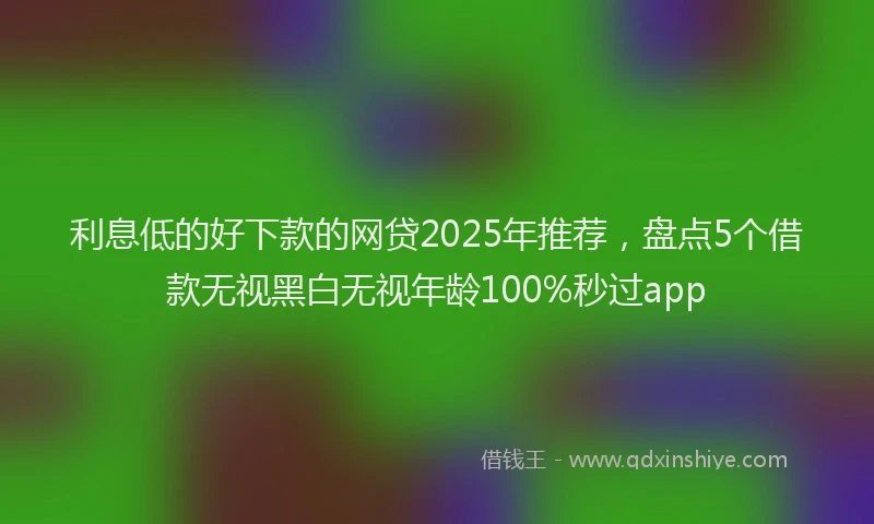 利息低的好下款的网贷2025年推荐，盘点5个借款无视黑白无视年龄100%秒过app