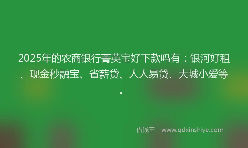 2025年的农商银行菁英宝好下款吗有：银河好租、现金秒融宝、省薪贷、人人易贷、大城小爱等。