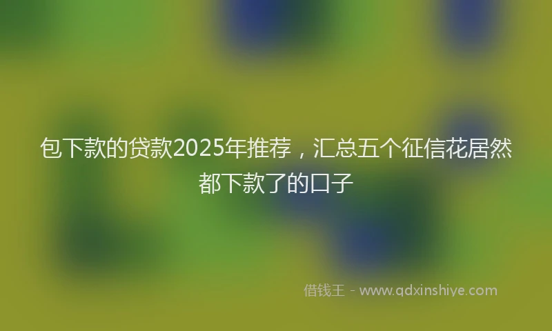 包下款的贷款2025年推荐，汇总五个征信花居然都下款了的口子