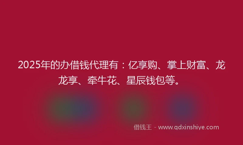 2025年的办借钱代理有：亿享购、掌上财富、龙龙享、牵牛花、星辰钱包等。