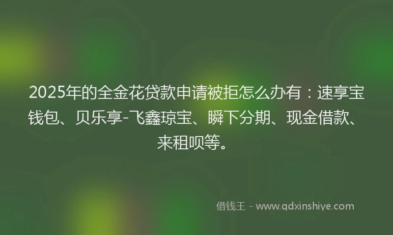 2025年的全金花贷款申请被拒怎么办有：速享宝钱包、贝乐享-飞鑫琼宝、瞬下分期、现金借款、来租呗等。