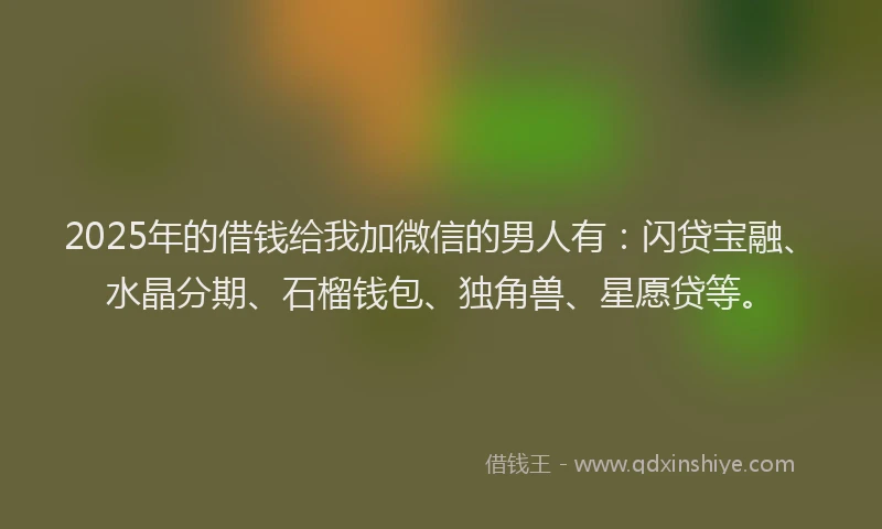 2025年的借钱给我加微信的男人有：闪贷宝融、水晶分期、石榴钱包、独角兽、星愿贷等。