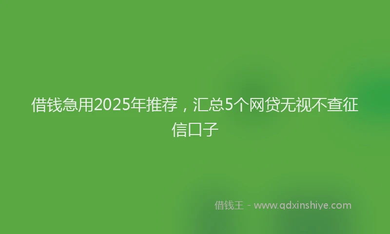 借钱急用2025年推荐，汇总5个网贷无视不查征信口子