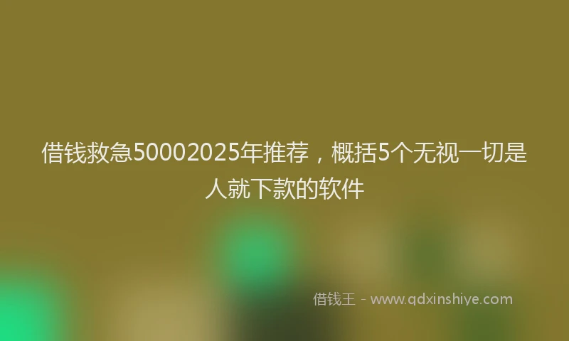 借钱救急50002025年推荐，概括5个无视一切是人就下款的软件