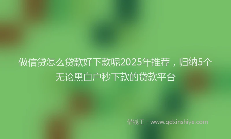 做信贷怎么贷款好下款呢2025年推荐，归纳5个无论黑白户秒下款的贷款平台