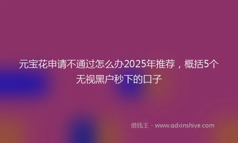 元宝花申请不通过怎么办2025年推荐，概括5个无视黑户秒下的口子