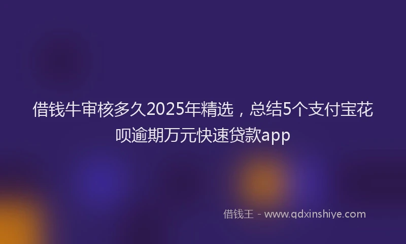 借钱牛审核多久2025年精选，总结5个支付宝花呗逾期万元快速贷款app