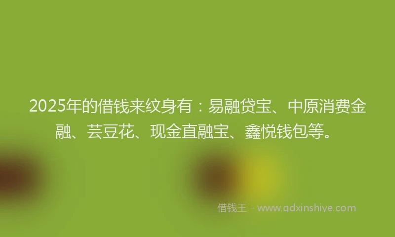 2025年的借钱来纹身有：易融贷宝、中原消费金融、芸豆花、现金直融宝、鑫悦钱包等。