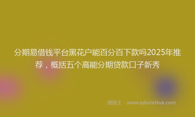 分期易借钱平台黑花户能百分百下款吗2025年推荐，概括五个高能分期贷款口子新秀