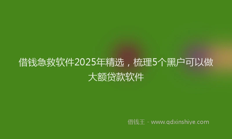 借钱急救软件2025年精选，梳理5个黑户可以做大额贷款软件