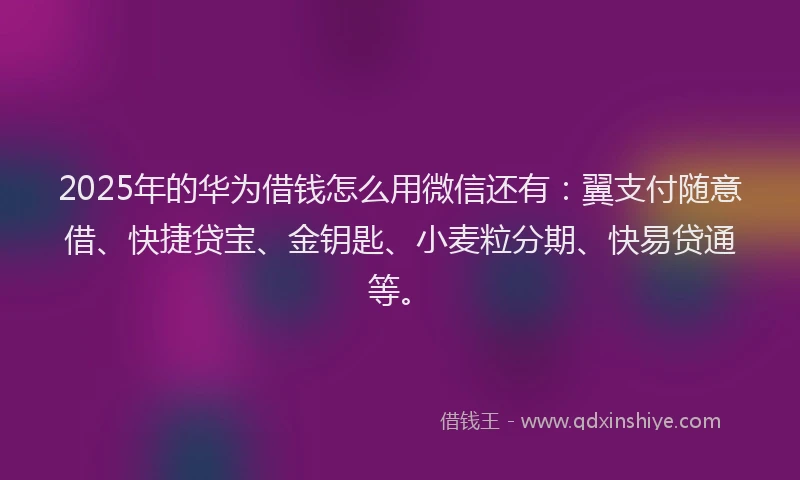 2025年的华为借钱怎么用微信还有：翼支付随意借、快捷贷宝、金钥匙、小麦粒分期、快易贷通等。
