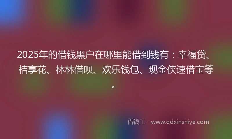 2025年的借钱黑户在哪里能借到钱有：幸福贷、桔享花、林林借呗、欢乐钱包、现金侠速借宝等。