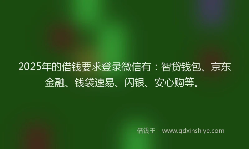 2025年的借钱要求登录微信有：智贷钱包、京东金融、钱袋速易、闪银、安心购等。