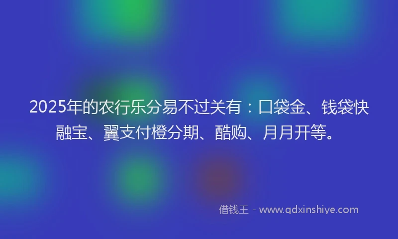 2025年的农行乐分易不过关有：口袋金、钱袋快融宝、翼支付橙分期、酷购、月月开等。