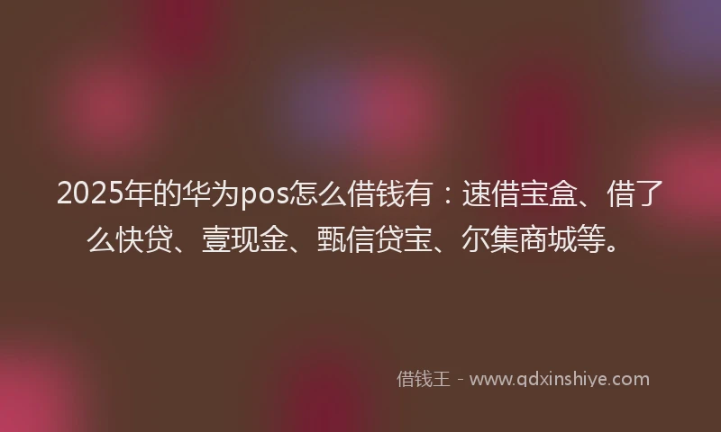 2025年的华为pos怎么借钱有：速借宝盒、借了么快贷、壹现金、甄信贷宝、尔集商城等。