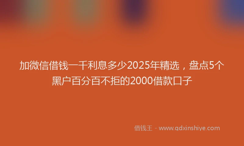 加微信借钱一千利息多少2025年精选，盘点5个黑户百分百不拒的2000借款口子