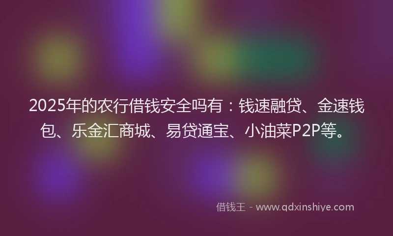 2025年的农行借钱安全吗有：钱速融贷、金速钱包、乐金汇商城、易贷通宝、小油菜P2P等。