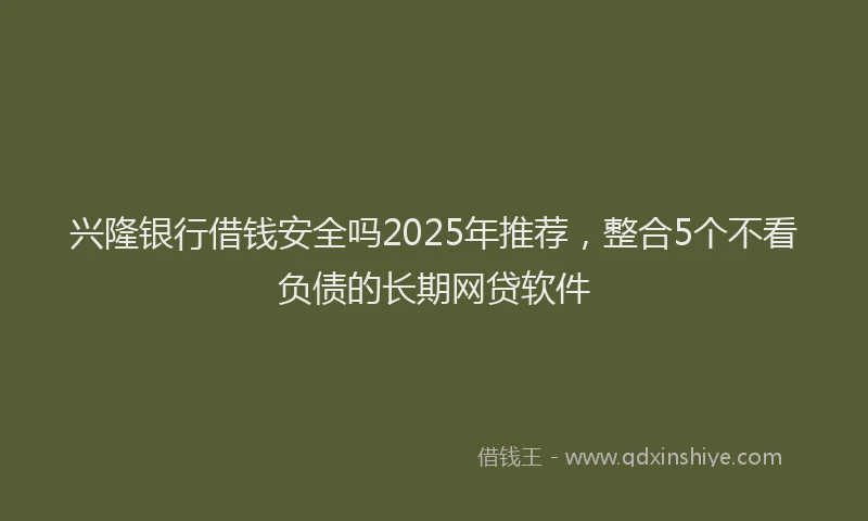 兴隆银行借钱安全吗2025年推荐，整合5个不看负债的长期网贷软件