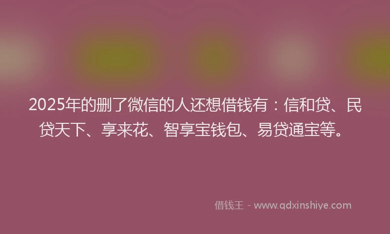 2025年的删了微信的人还想借钱有：信和贷、民贷天下、享来花、智享宝钱包、易贷通宝等。