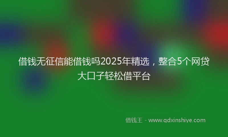 借钱无征信能借钱吗2025年精选，整合5个网贷大口子轻松借平台