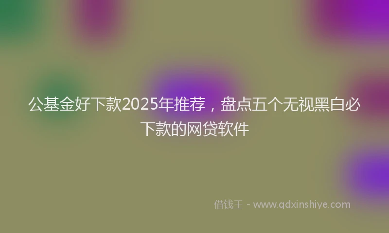 公基金好下款2025年推荐，盘点五个无视黑白必下款的网贷软件