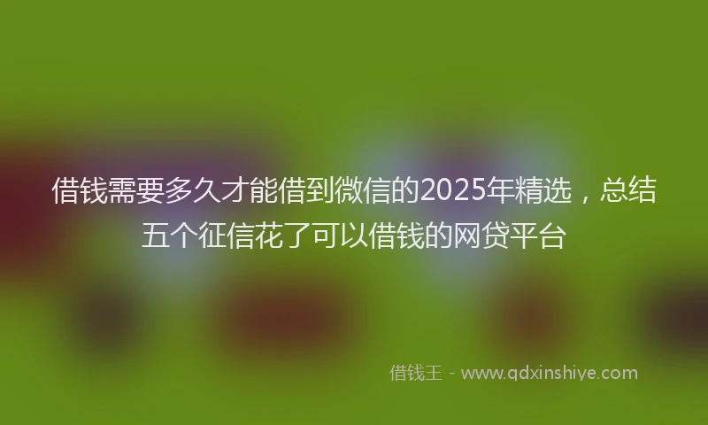 借钱需要多久才能借到微信的2025年精选，总结五个征信花了可以借钱的网贷平台