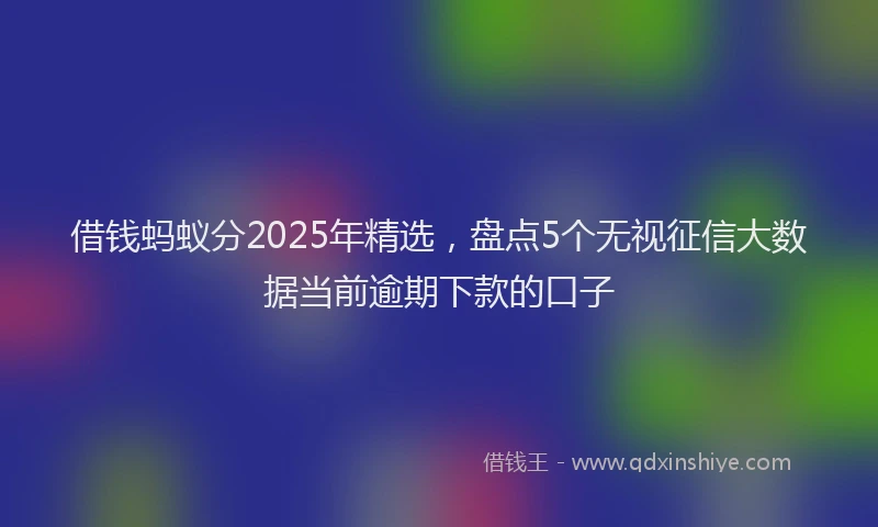 借钱蚂蚁分2025年精选，盘点5个无视征信大数据当前逾期下款的口子