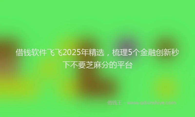 借钱软件飞飞2025年精选，梳理5个金融创新秒下不要芝麻分的平台