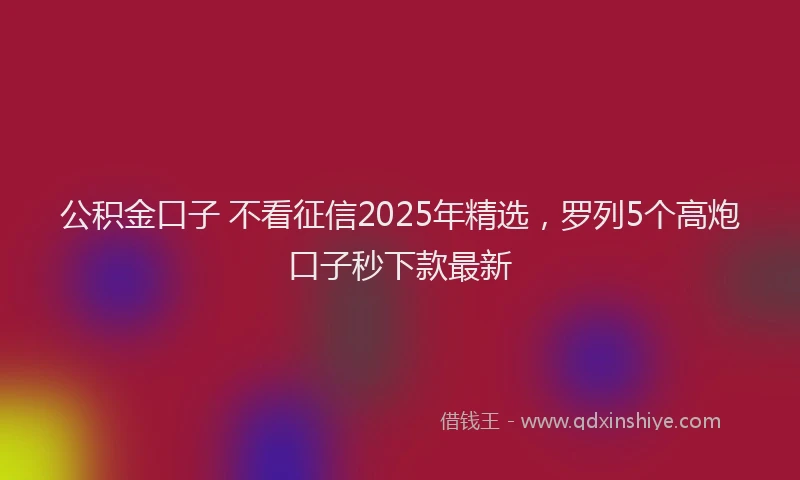 公积金口子 不看征信2025年精选，罗列5个高炮口子秒下款最新