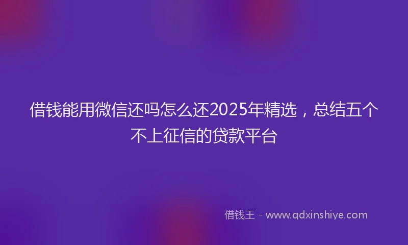 借钱能用微信还吗怎么还2025年精选，总结五个不上征信的贷款平台
