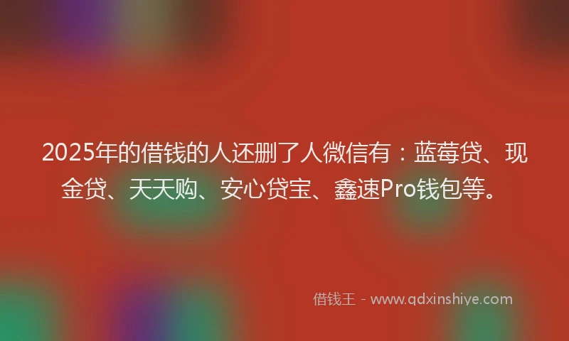 2025年的借钱的人还删了人微信有：蓝莓贷、现金贷、天天购、安心贷宝、鑫速Pro钱包等。