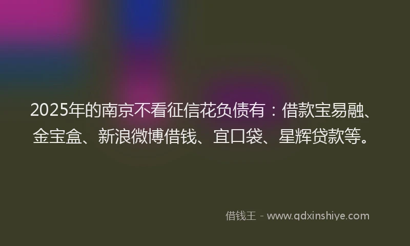 2025年的南京不看征信花负债有：借款宝易融、金宝盒、新浪微博借钱、宜口袋、星辉贷款等。