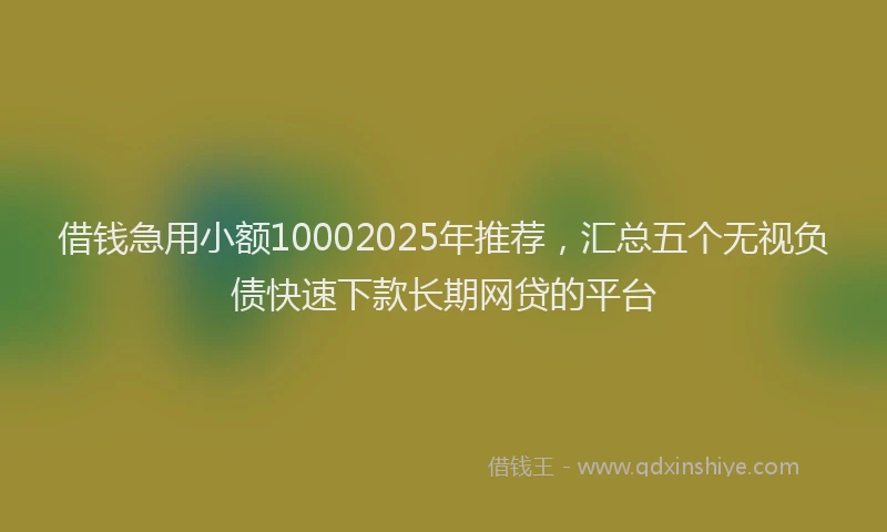 借钱急用小额10002025年推荐，汇总五个无视负债快速下款长期网贷的平台
