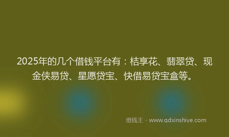 2025年的几个借钱平台有：桔享花、翡翠贷、现金侠易贷、星愿贷宝、快借易贷宝盒等。