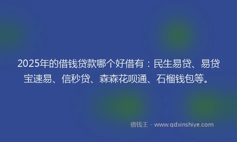2025年的借钱贷款哪个好借有：民生易贷、易贷宝速易、信秒贷、森森花呗通、石榴钱包等。