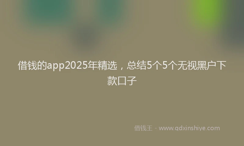 借钱的app2025年精选，总结5个5个无视黑户下款口子