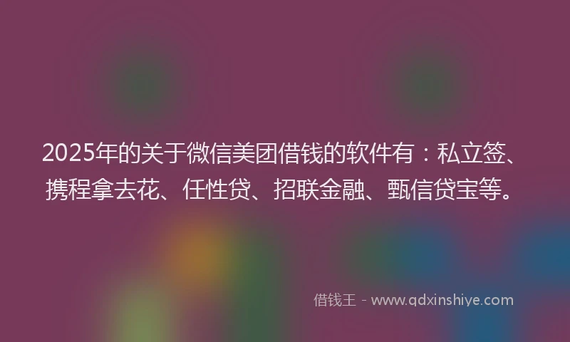 2025年的关于微信美团借钱的软件有：私立签、携程拿去花、任性贷、招联金融、甄信贷宝等。