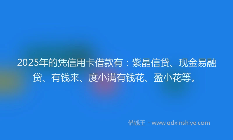 2025年的凭信用卡借款有：紫晶信贷、现金易融贷、有钱来、度小满有钱花、盈小花等。