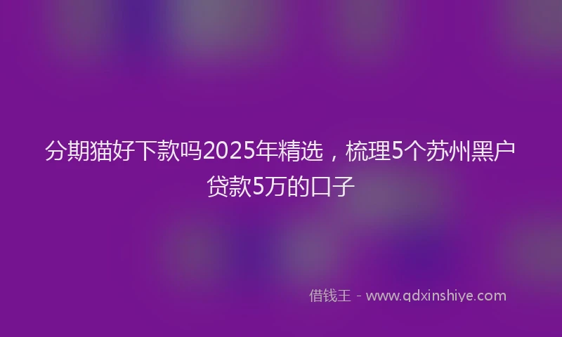 分期猫好下款吗2025年精选，梳理5个苏州黑户贷款5万的口子