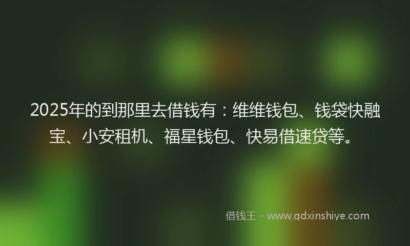 2025年的到那里去借钱有：维维钱包、钱袋快融宝、小安租机、福星钱包、快易借速贷等。