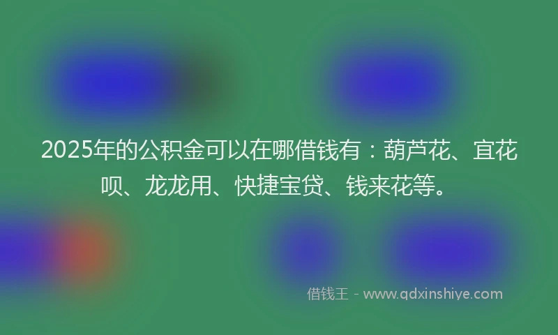 2025年的公积金可以在哪借钱有：葫芦花、宜花呗、龙龙用、快捷宝贷、钱来花等。