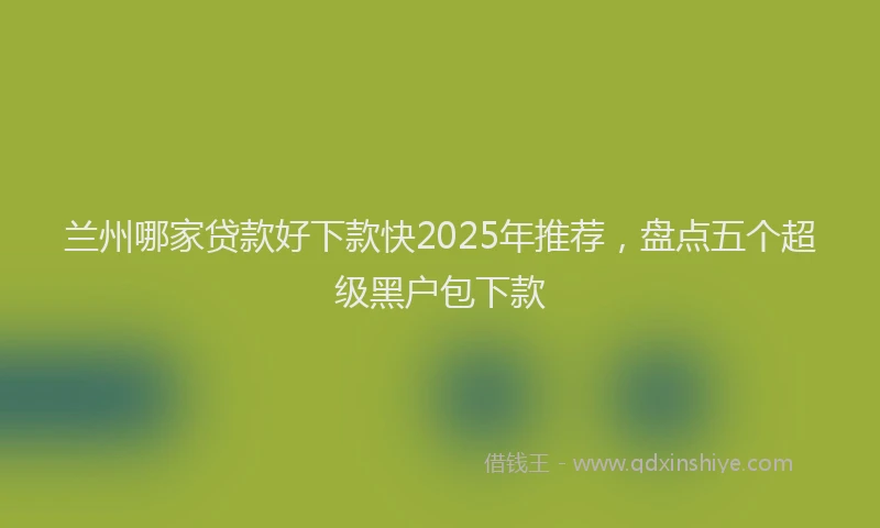 兰州哪家贷款好下款快2025年推荐，盘点五个超级黑户包下款