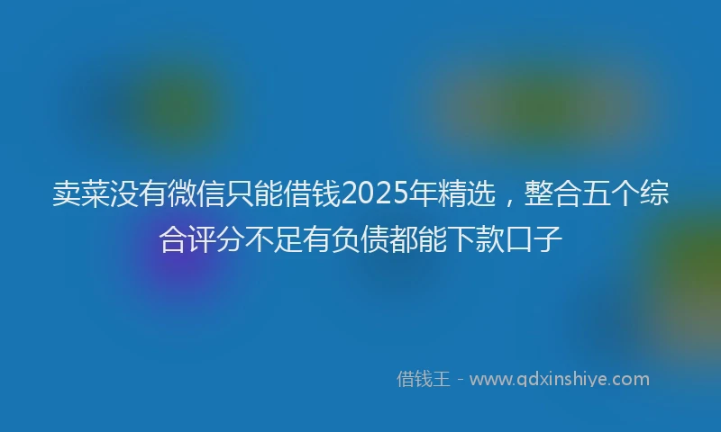 卖菜没有微信只能借钱2025年精选，整合五个综合评分不足有负债都能下款口子