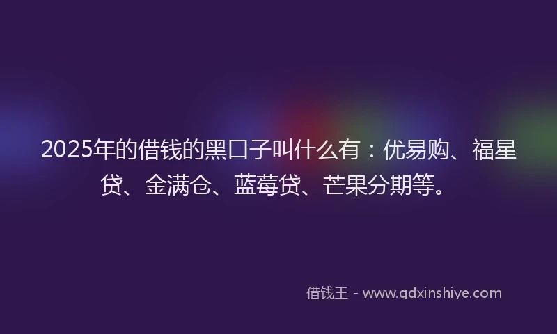 2025年的借钱的黑口子叫什么有：优易购、福星贷、金满仓、蓝莓贷、芒果分期等。