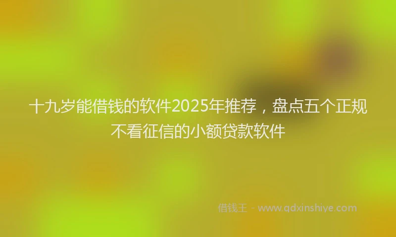 十九岁能借钱的软件2025年推荐，盘点五个正规不看征信的小额贷款软件