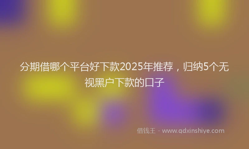 分期借哪个平台好下款2025年推荐，归纳5个无视黑户下款的口子