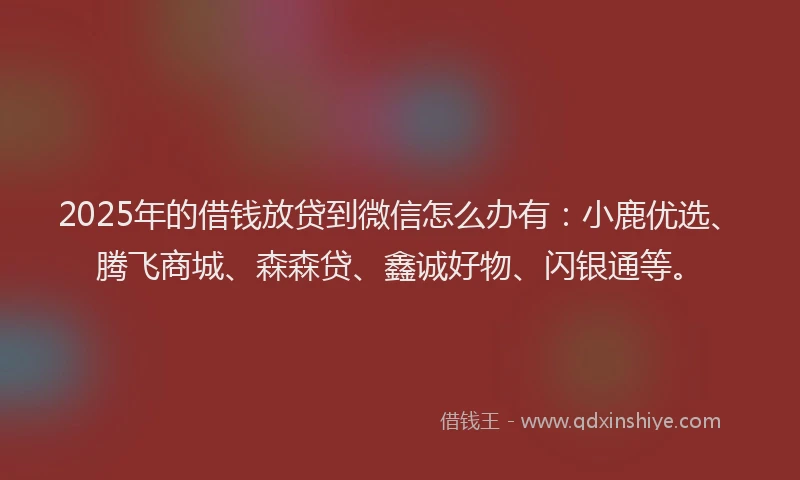 2025年的借钱放贷到微信怎么办有：小鹿优选、腾飞商城、森森贷、鑫诚好物、闪银通等。